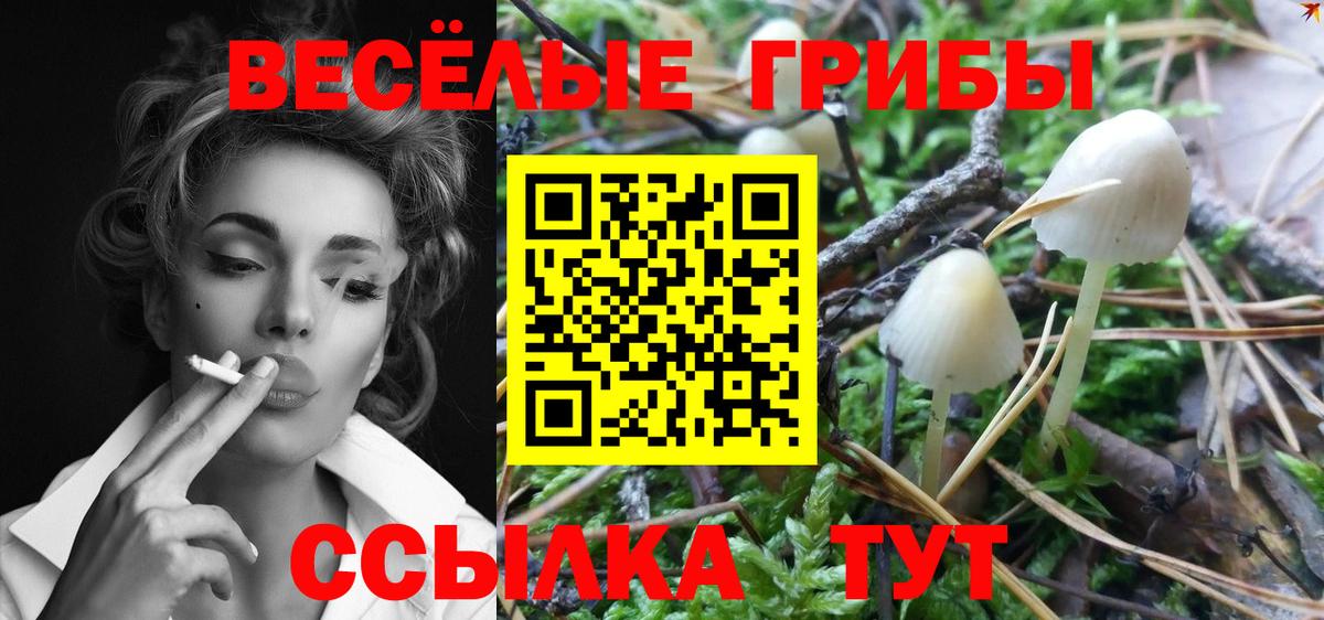 Галлюциногенные грибы Magic Shrooms  Вход с VPN  купить наркоту  Аргун 