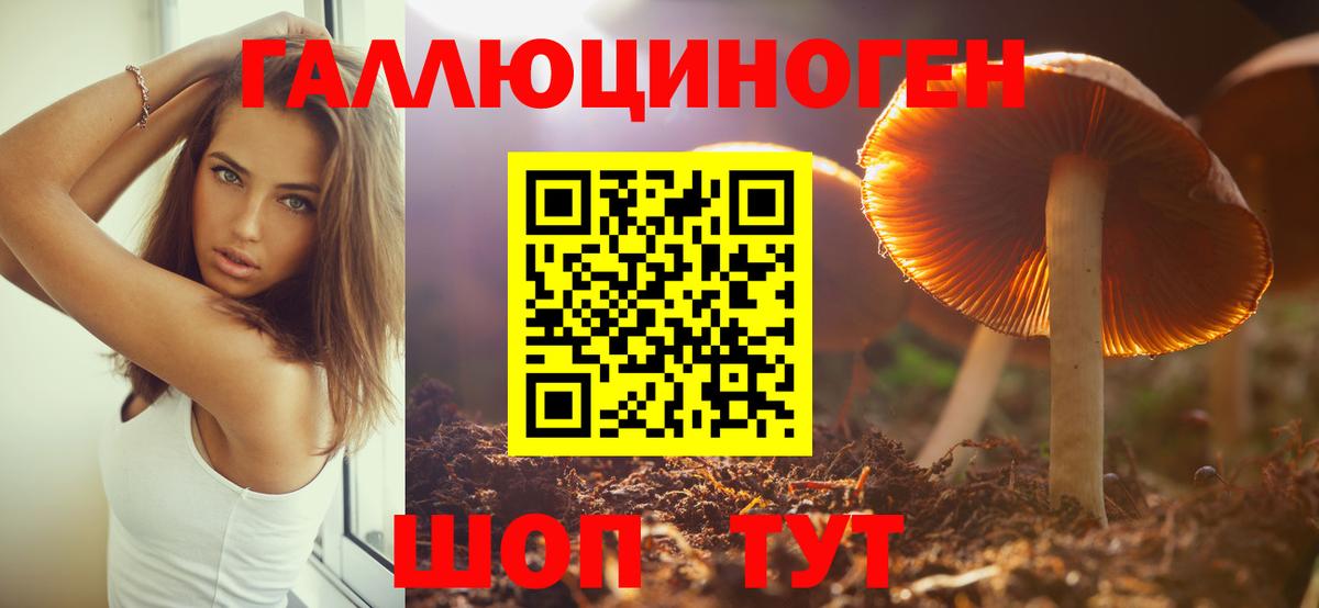 Псилоцибиновые грибы MAGIC MUSHROOMS Аргун