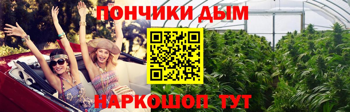 Каннабис индика  Марихуана план  Аргун  Марихуана гибрид  Вход с VPN 